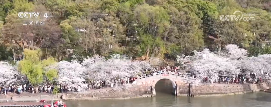 竞技宝JJBapp赛事聚“流量”经济添“增量” 以“赛”为媒激发多元消费新活力(图1)
